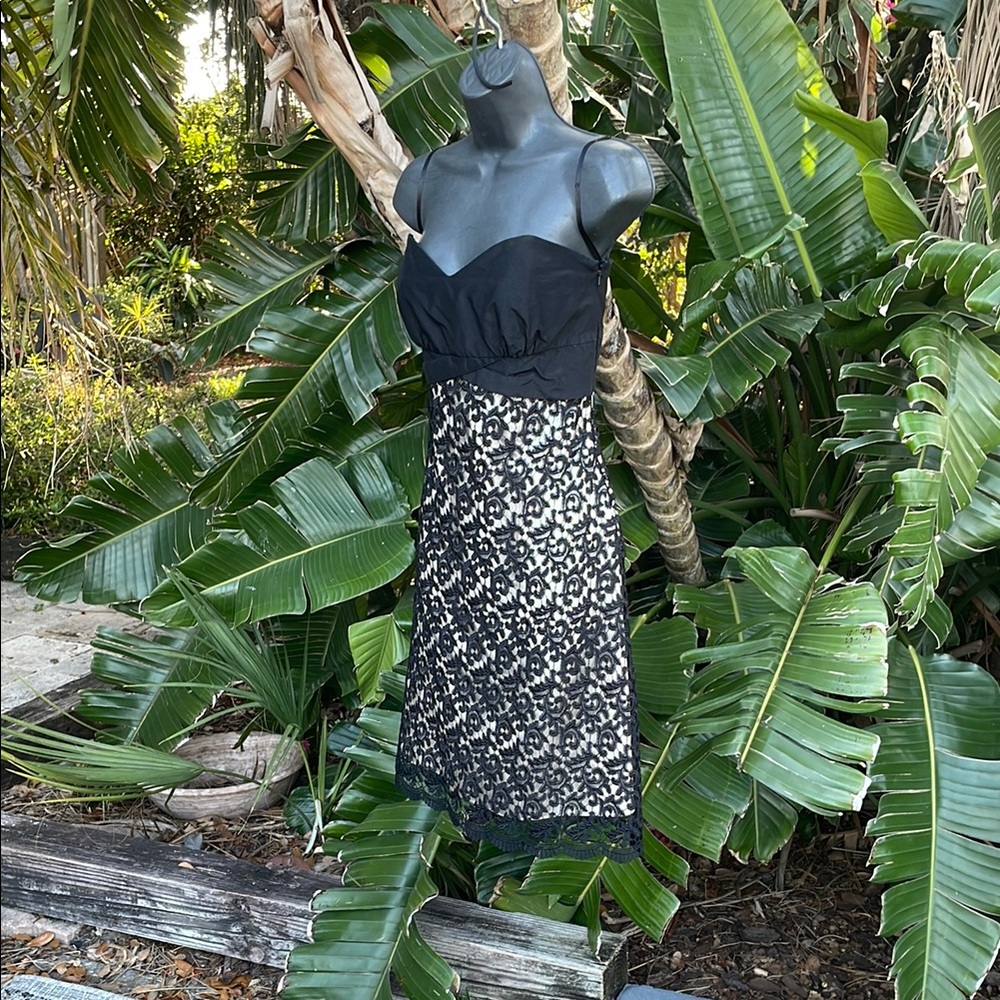 strapless, lace dress